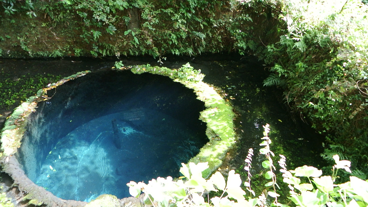 柿田川湧水群