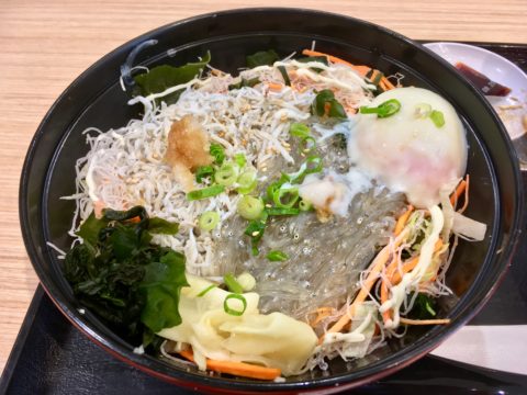 とびっちょ 生しらす釜揚げしらす丼