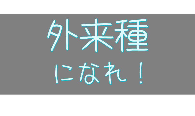 外来種のように転職する