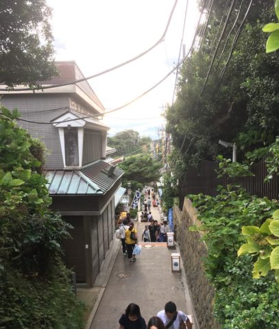 このアップダウンよ