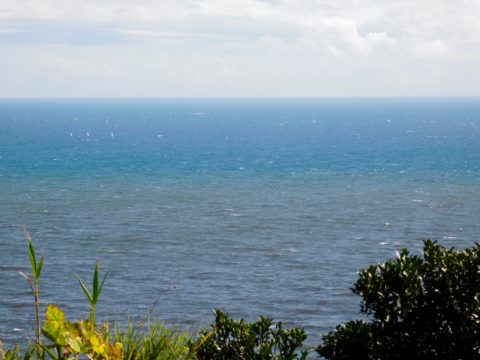 海の色が変わってる