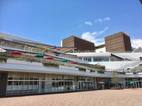 iPhone写真_縦横８分の１