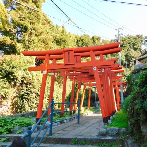 龍馬像への道のり・鳥居