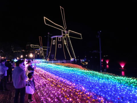 ハウステンボス夜の風車と花