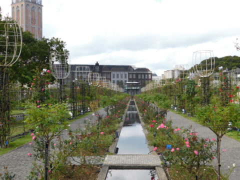 ハウステンボス昼の花畑